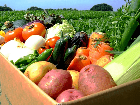 Экспорт российской сельхозпродукции может снизиться в 2020 году