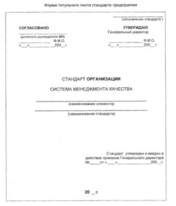Образец документа: Разработка стандартов организации
