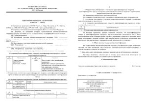 Образец документа: идентификационное заключение ФСТЭК